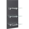 LED-Panel Viva Anthrazit Seidenglanz Mit 3 Glasablagen