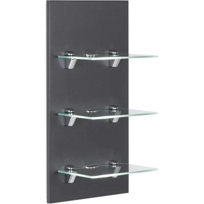 LED-Panel Viva Anthrazit Seidenglanz Mit 3 Glasablagen 3 LED-Panel Viva Anthrazit Seidenglanz Mit 3 Glasablagen